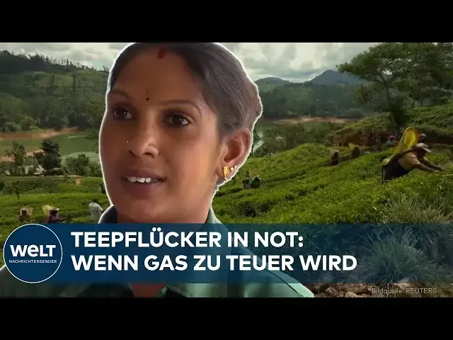 Teepflücker in Sri Lanka: Opfer des Irankriegs 2