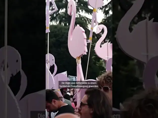 Wut in Albanien: Kushners Luxusprojekt bedroht Natur 5